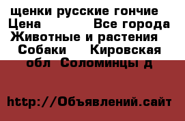 щенки русские гончие › Цена ­ 4 000 - Все города Животные и растения » Собаки   . Кировская обл.,Соломинцы д.